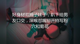 网丝御姐