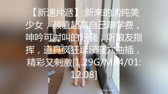 兔子先生TZ-133满足一切要求的岛国妹