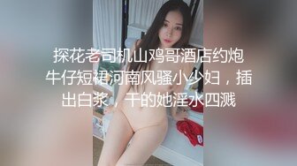 YST-190 同事妻子的母豬味 篠崎環奈【中文字幕】