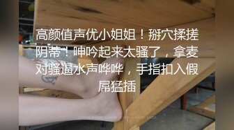 原创结尾手势验证老婆的小骚逼