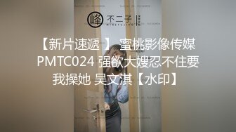 STP32586 麻豆传媒 兔子先生监制 TZ117 面试惨遭潜规则 原神雷电将军COS 月野静