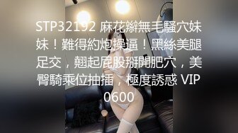 糖心Vlog 性感少婦 制服誘惑 91D先生