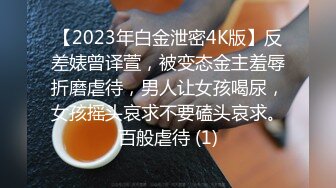 LJ极品地铁高清CD系列20部合集 (13)