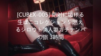 [CUBEX-005] 絶対に抜ける生ぱこコレクション 5 燃えるシロウト美人妻ガチナンパの旅 3時間