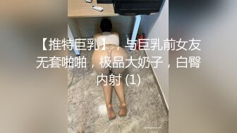 模特骚母狗第三弹