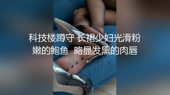 科技楼蹲守 长裙少妇光滑粉嫩的鲍鱼  略显发黑的肉唇