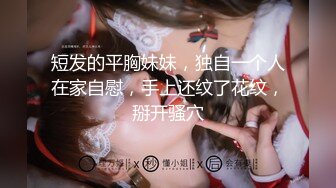 Stripchat主播【林夕 Aafairy】抖奶 热舞 自慰视频福利 最全 合集【100v】 (122)