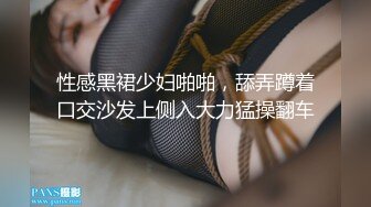 中出しお義姉さんの誘惑～美貌と淫技で誘う兄嫁～ 本田岬