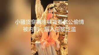 国产麻豆AV MD MD0033 女模与摄影师搞上 六滢心