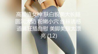 果冻传媒91MS-014 一根鸡巴满不了的极品尤物