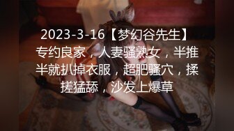 女M博主sex_seoul与他的主子日常说是主子但看着亲来亲去的更像情侣 玩一些离谱的 JB蘸巧克力当百奇吃什么的此外还有不少的足交内容绿奴视角多人运动等等质量佳(NO.2)