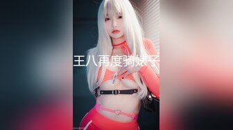 王八再度骑婊子