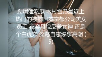 精品裸舞【萱萱酱】C杯美乳大摆锤 晃奶 齐肩短发清纯少女 (1)