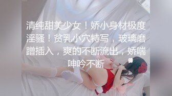 蓝发大胸美少妇的肥臀肛塞