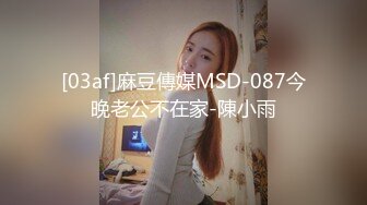 [03af]麻豆傳媒MSD-087今晚老公不在家-陳小雨