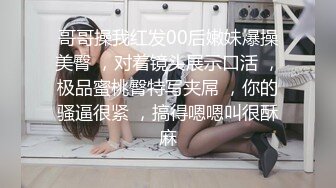 兴风作浪的姐姐DYPE002女优培训篇