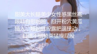 麻豆传媒-淫欲游戏王EP2 麻豆女神淫荡大逃脱 性爱惩罚夏晴子