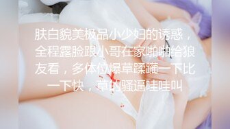 麻豆傳媒 MDSR0003-2 性婚姻生活 EP2 模糊的感情界定-宋南伊