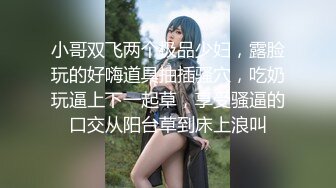 小彩虹的大黑鸟