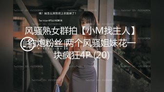 【9总出击】约了个丰满身材大奶少妇TP啪啪，换上透视装调情一番，口交大力猛操非常诱人