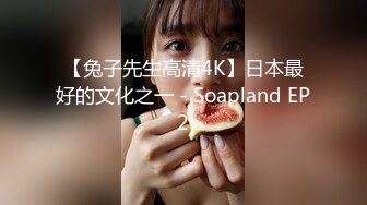 【兔子先生高清4K】日本最好的文化之一 - Soapland EP2