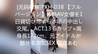 【解说】10時15分発痴●NTRエクスプレス「うちの妻を痴●して下さい―。」 目黒めぐみ