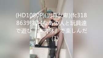 潜入办公楼偷拍美女同事的极品馒头B