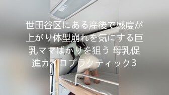 世田谷区にある産後で感度が上がり体型崩れを気にする巨乳ママばかりを狙う 母乳促進カイロプラクティック3