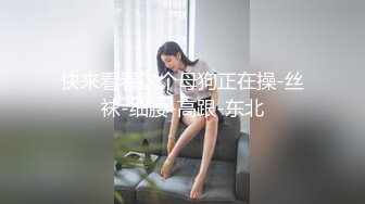 快来看看这个母狗正在操-丝袜-细腰-高跟-东北